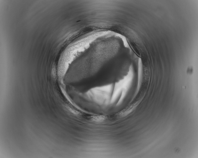 X0000090610143200708141359