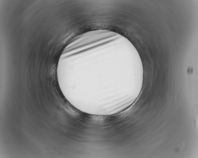 X0000090610144200708141359