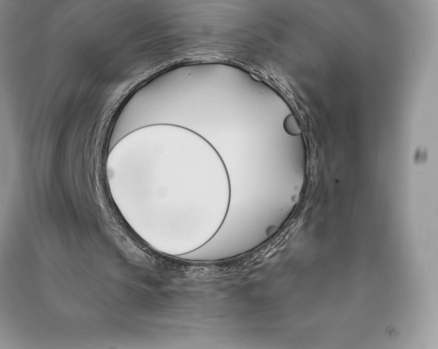 X0000090610145200708141358