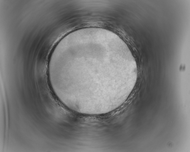 X0000090610146200708141358