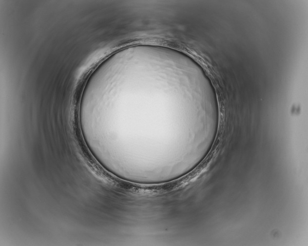 X0000090610149200708141358