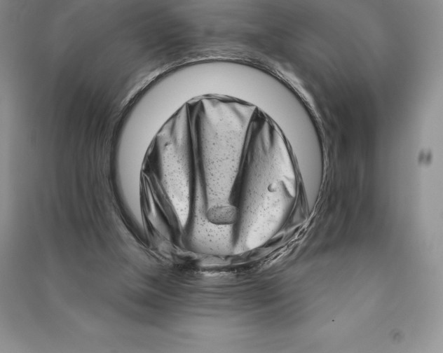 X0000090610154200708141358