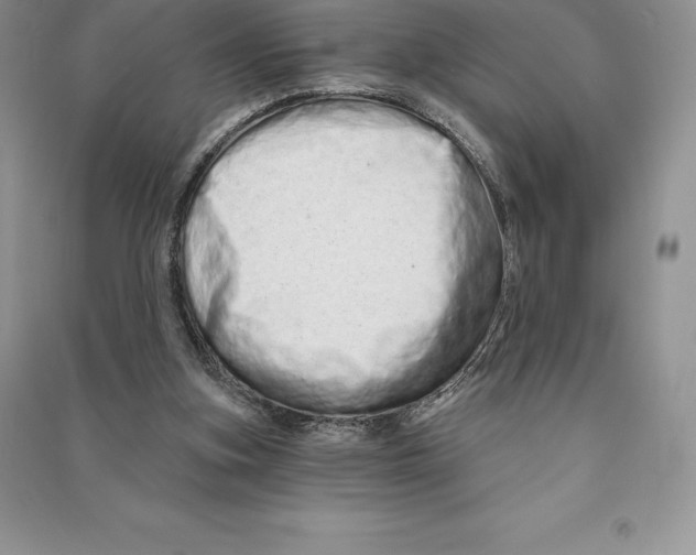 X0000090610155200708141358