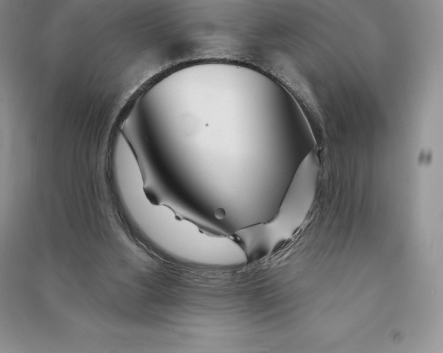 X0000090610156200708141358