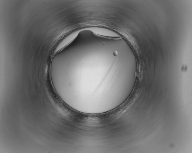 X0000090610157200708141358