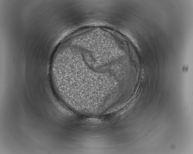 X0000090610159200708141358