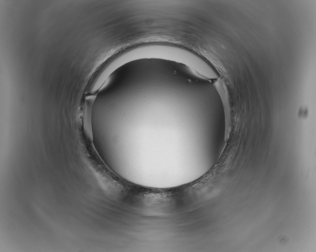 X0000090610160200708141358