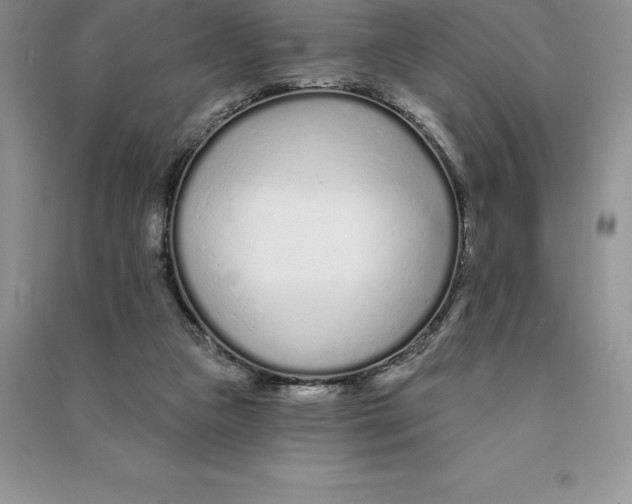 X0000090610161200708141358