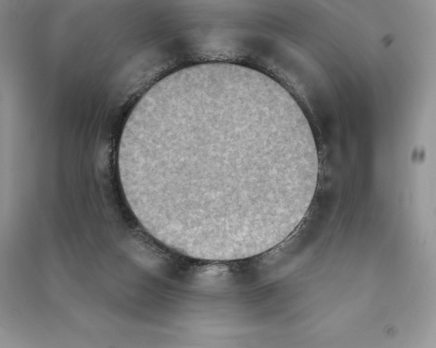 X0000090610162200708141358