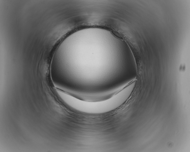 X0000090610164200708141358