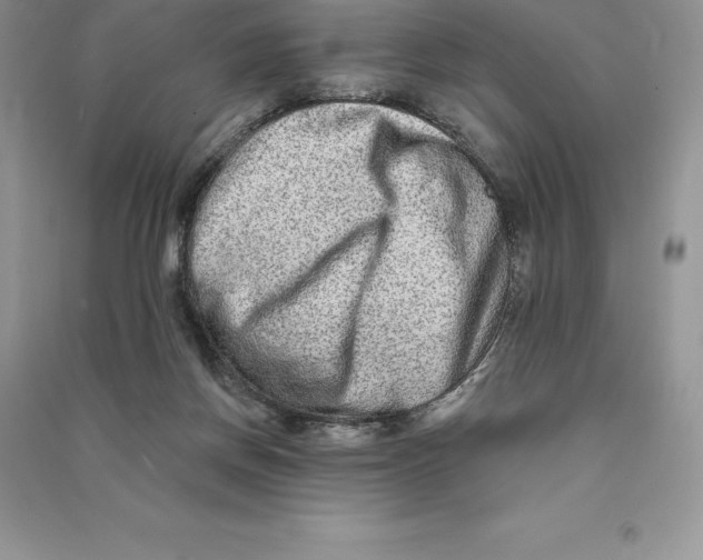 X0000090610166200708141358