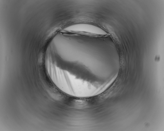 X0000090610167200708141358