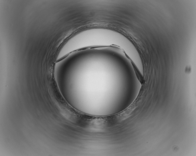 X0000090610168200708141358