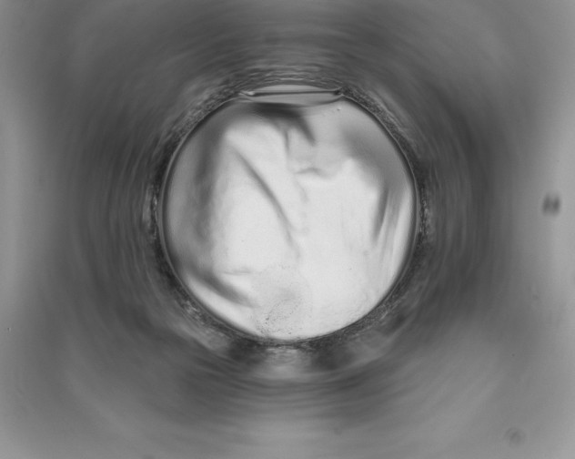 X0000090610169200708141358