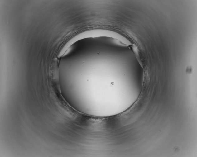 X0000090610170200708141358