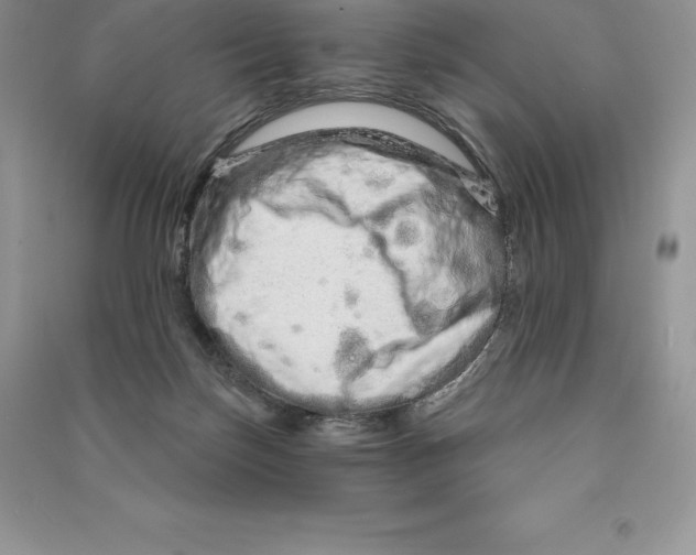 X0000090610171200708141358