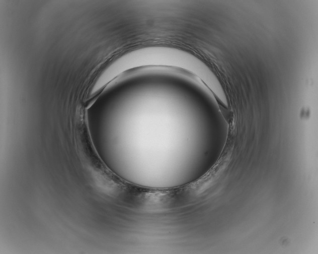 X0000090610172200708141358