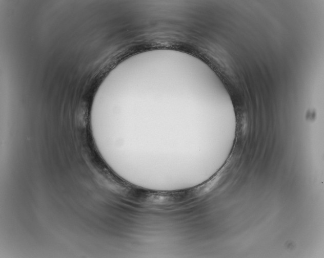 X0000090610174200708141358