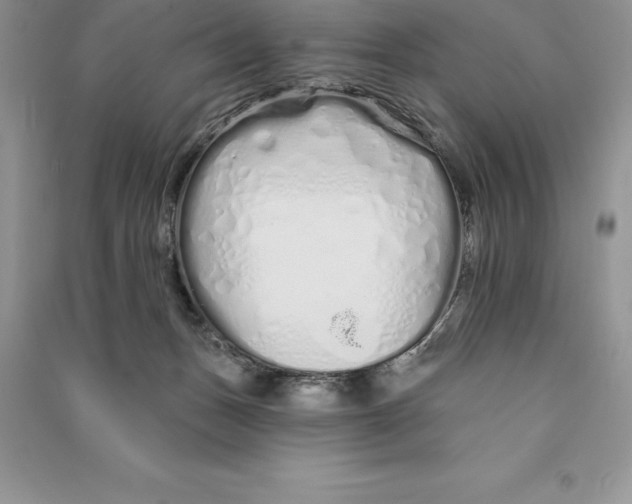 X0000090610175200708141358