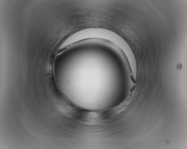 X0000090610176200708141358