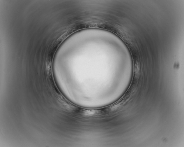 X0000090610177200708141358