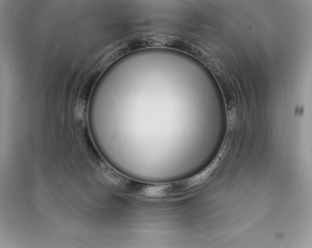 X0000090610178200708141358