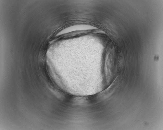 X0000090610179200708141358