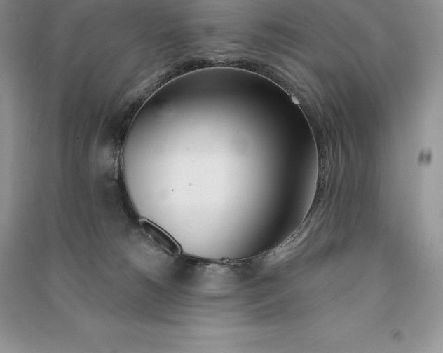 X0000090610180200708141358