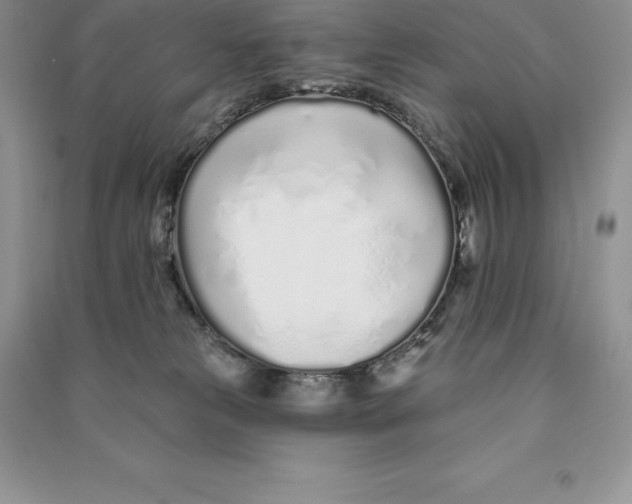 X0000090610181200708141358