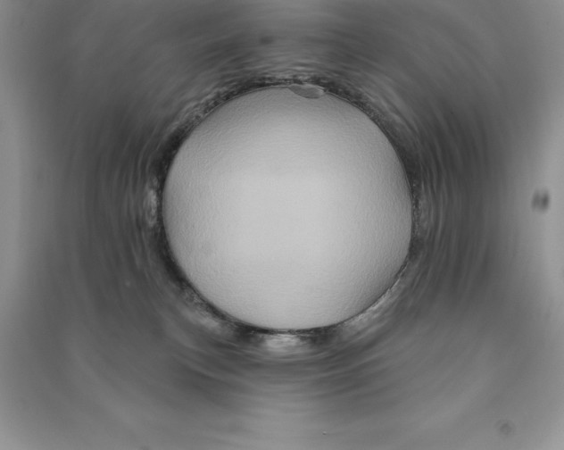 X0000090610183200708141358