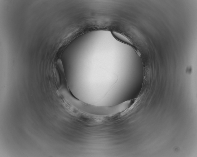 X0000090610184200708141359