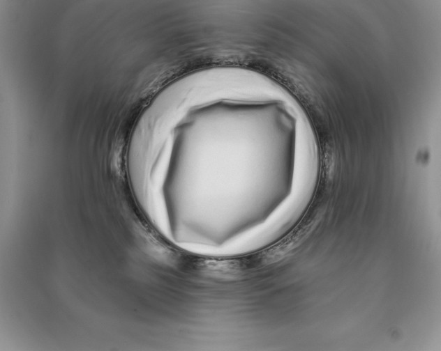 X0000090610185200708141359