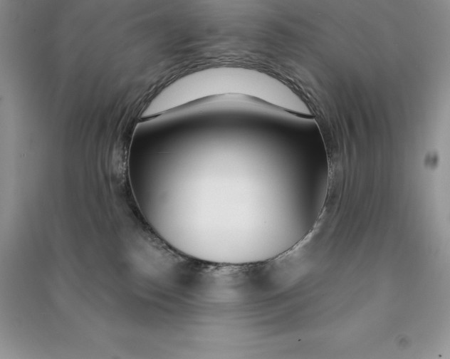 X0000090610186200708141359