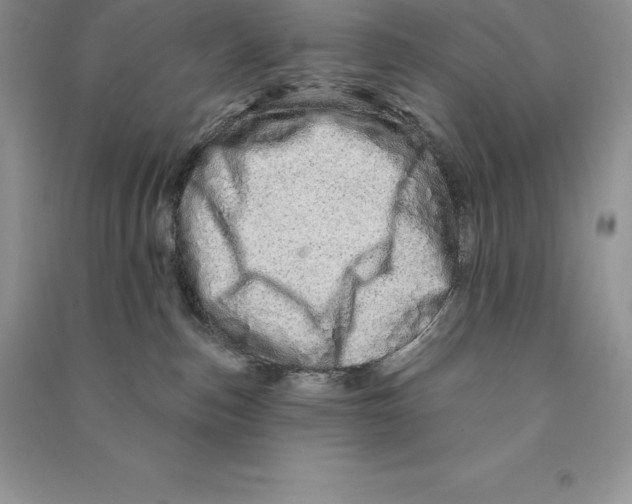 X0000090610187200708141359