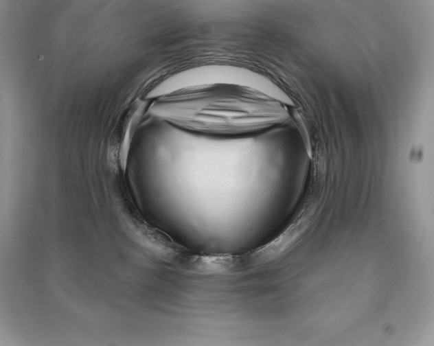 X0000090610188200708141359