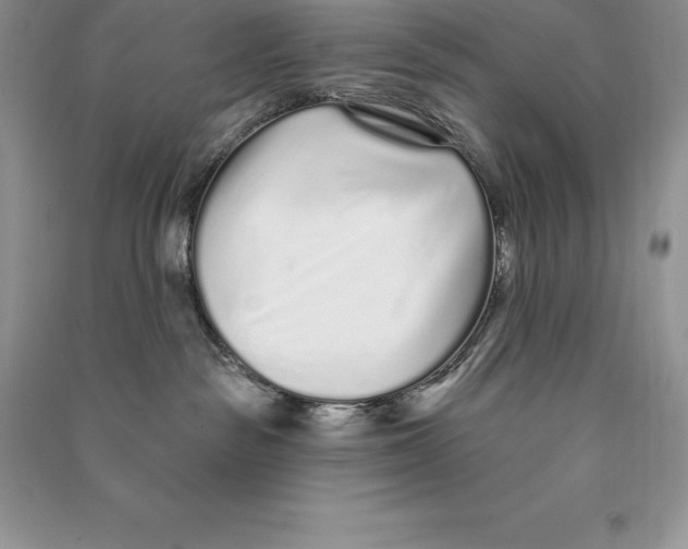 X0000090610189200708141359