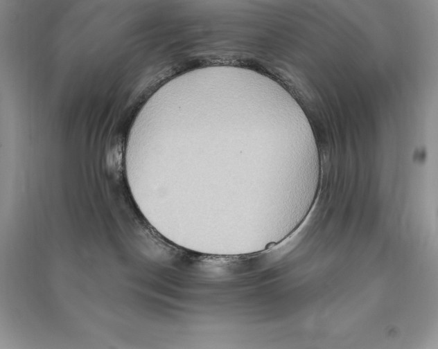 X0000090610190200708141359