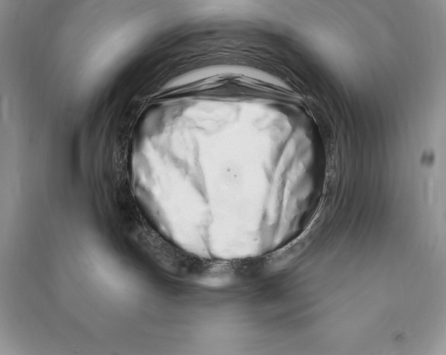 X0000090610191200708141359