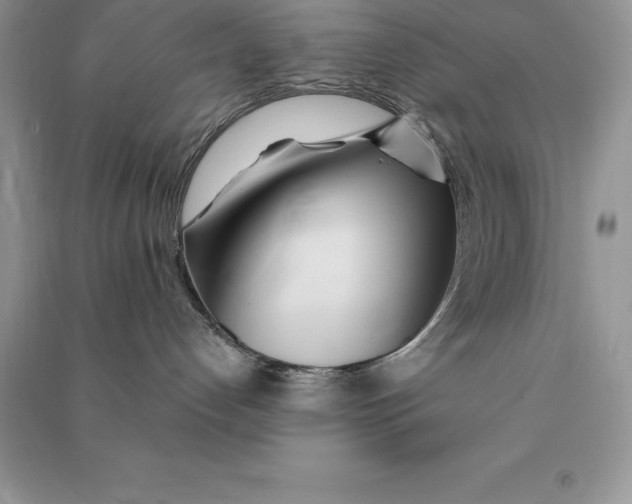 X0000090610192200708141359