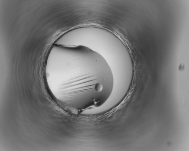 X0000090610193200708141358