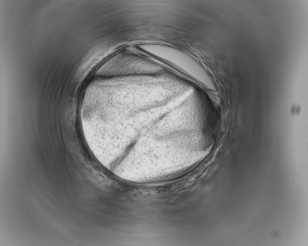 X0000090610194200708141358