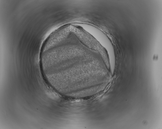 X0000090610196200708141358