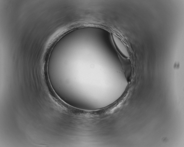 X0000090610197200708141358