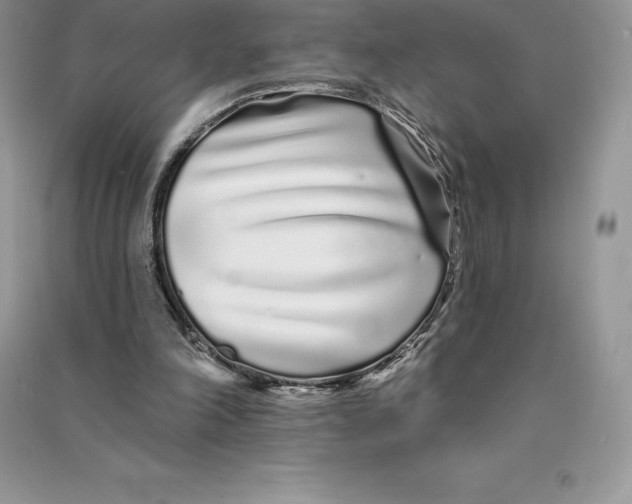 X0000090610198200708141358