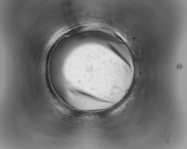 X0000090610199200708141358