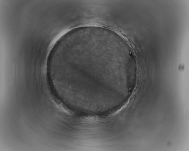 X0000090610200200708141358