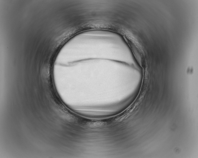 X0000090610202200708141358