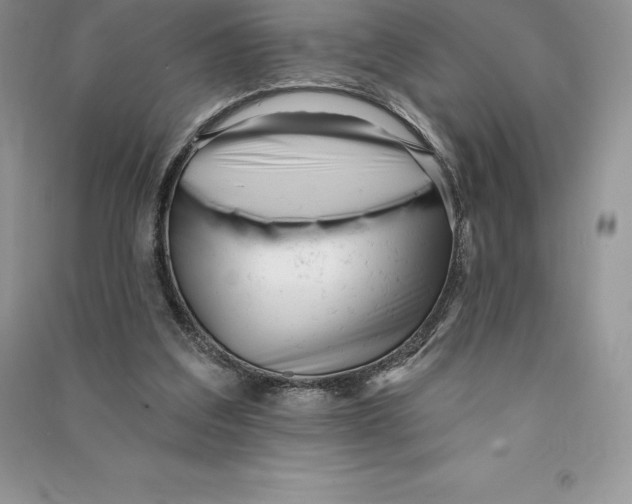 X0000090610203200708141358