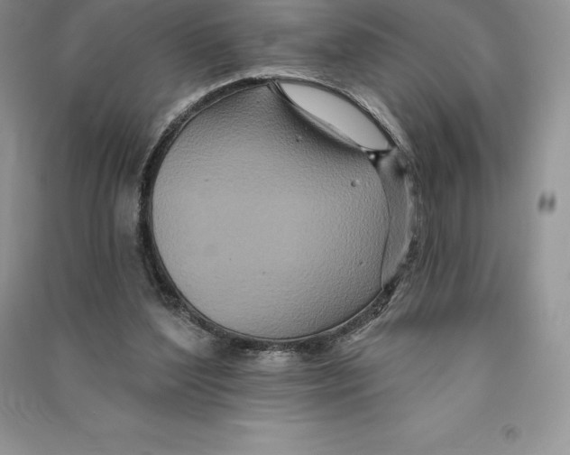 X0000090610204200708141358