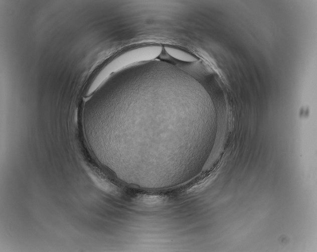 X0000090610205200708141358